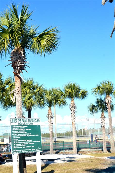 Mamma Friendly: Frank Brown Park, Panama City Beach, Florida