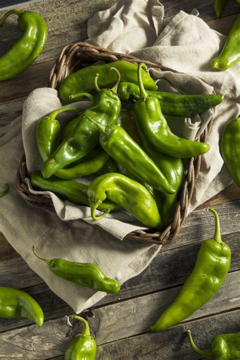 We Love New Mexico Hatch Green Chile Beef Enchiladas A Cook Named Rebecca