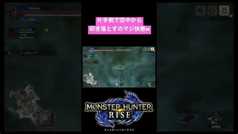 【mhrise】片手剣で飛んでるモンスターを叩き落とすのがたまらないんじゃあっ Mhrise モンハンライズ モンハン