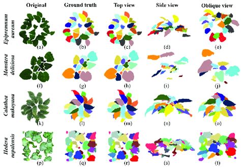 Qualitative Demonstration Of Segmentation Results Of The Point Clouds