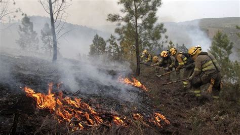 Asturias Reduce A 10 Los Incendios Forestales Cuatro Ya Controlados