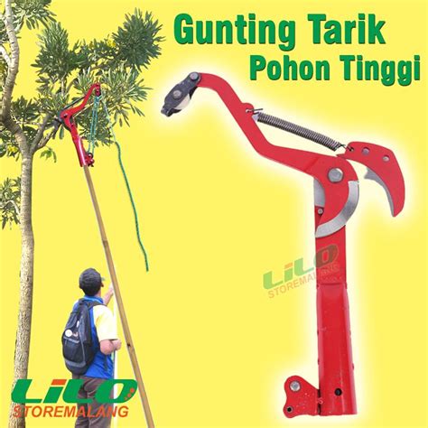 Jual Gunting Alat Potong Tarik Cabang Dahan Ranting Pohon Buah Tinggi