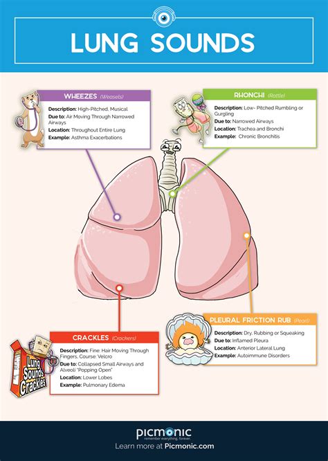 How To Document Lung Sounds Nursing