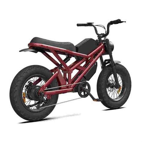 Premium Folding Bike Rooder Mocha Nigeria