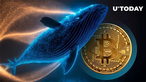 Intrigue As New Bitcoin Whale Is Born With 2 000 BTC Shift Details