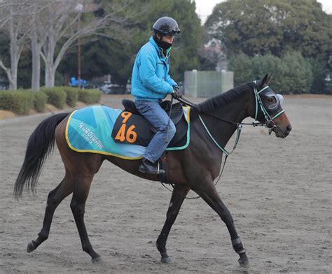 日曜京都の注目激走馬京都11rシンザン記念・g3 Umatoku 馬トク