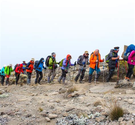 Mount Kilimanjaro Hiking Experiences | Oserok Trips