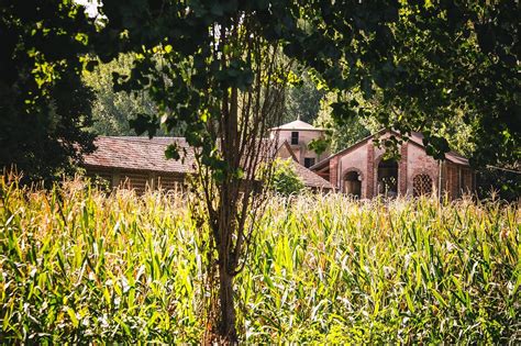 Il Parco Del Ticinello Corriere It