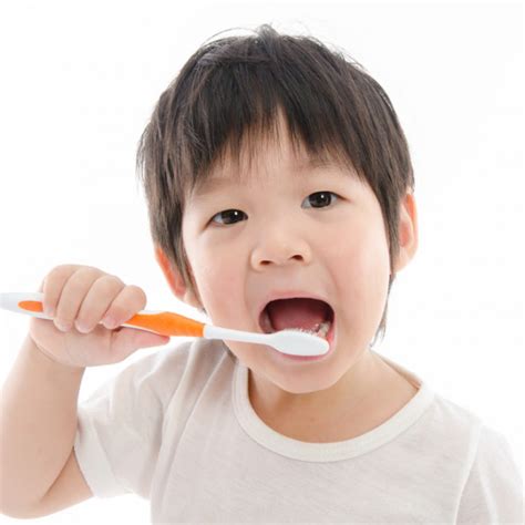 Quel Dentifrice Pour Son Enfant Pharmashopi