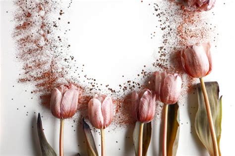 790+ Glitter Tulip Photos Stock Photos, Pictures & Royalty-Free Images ...