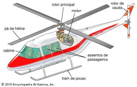 Helic Ptero Britannica Escola