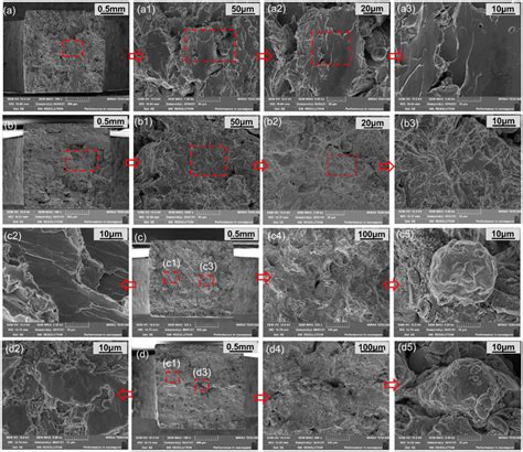 Tensile Fracture Morphologies Of Slm Samples A Horizontal Tension Of