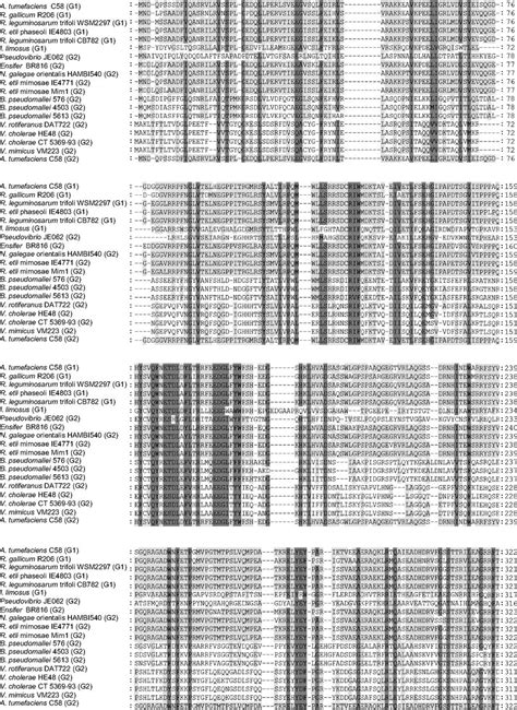 Vgrg C Terminus Confers The Type Vi Effector Transport Specificity And