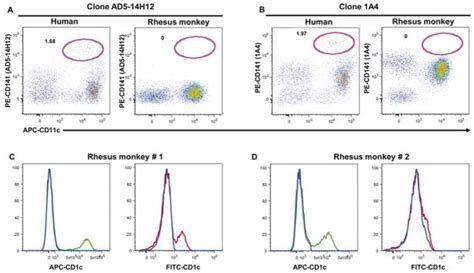 Immunophenotyping Of Lymphocyte Monocyte And Dendritic Cell Subsets In