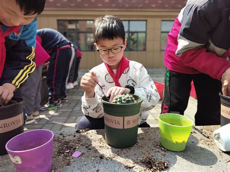 “植”此青绿，不负春光——徐家庄中心小学开展“植树节”系列活动