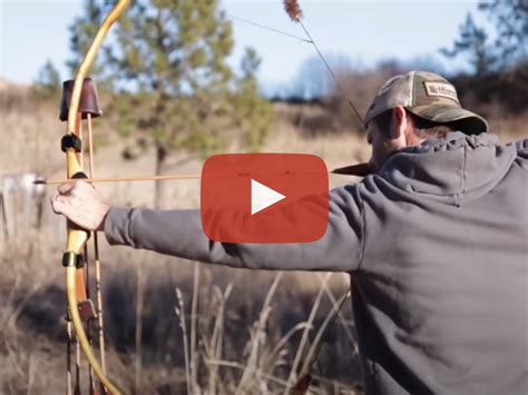 Switching From Compound Bow To Traditional Bow Traditional Bowhunter