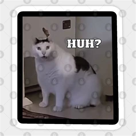 Huh Cat Meme - Huh Cat Meme - Sticker | TeePublic