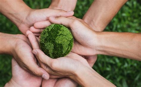 Las 5 tendencias sustentables que deberán adoptar las empresas en el 2023