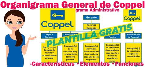 Arriba 60 Imagen Modelo De Gestion De Coppel Abzlocal Mx