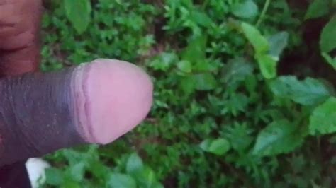 Black Dick Pissing Video Indian Gay Porn XHamster