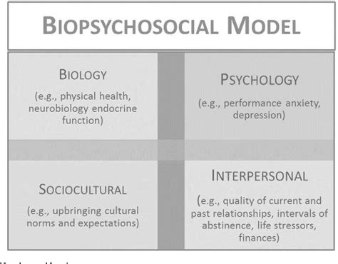 Pdf A Biopsychosocial Approach To Womens Sexual Function And