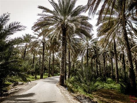 Photos Du Sultanat D Oman Plus Beaux Paysages