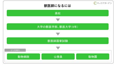 獣医師になるには？ 【資格の取り方・大学の選び方まで解説】 獣医師の仕事・なり方・年収・資格を解説 キャリアガーデン