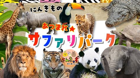 【子供向け 動物園アニメ】サファリパークへ行こう！ライオン チーター パンダなど人気の動物が20種類も大集合★ 動く動物図鑑で動物の名前を