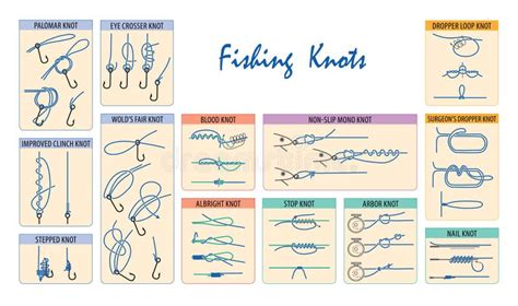 Fishing Knots stock vector. Illustration of chart, still - 23554435