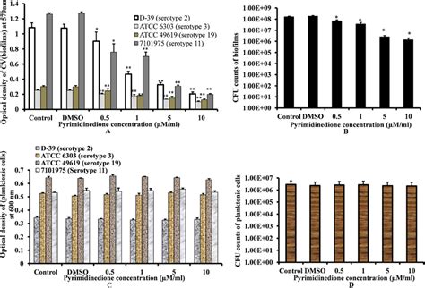 In Vitro S Pneumoniae Biofilm And Planktonic Cell Growth At Different