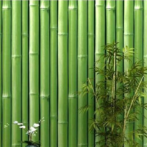 3d Green Bamboo Wallpaper For Homeoffice And Hotel At Rs 50sq Ft In Ghaziabad