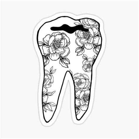 Maxilla Stickers For Sale In 2023 Dental Art Medical Stickers Stickers