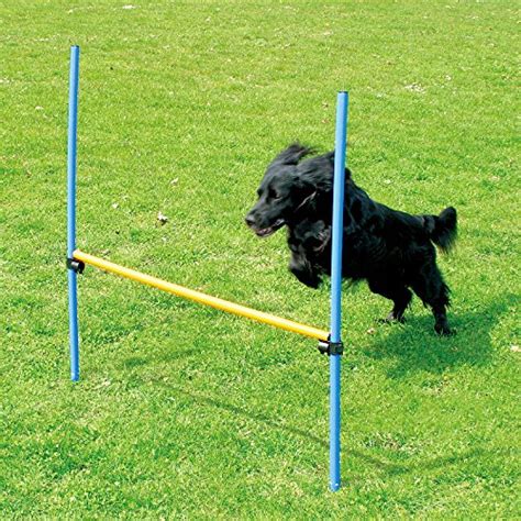 15 Best Dog Agility Equipment Kits in 2023 (For Beginners and Advanced)