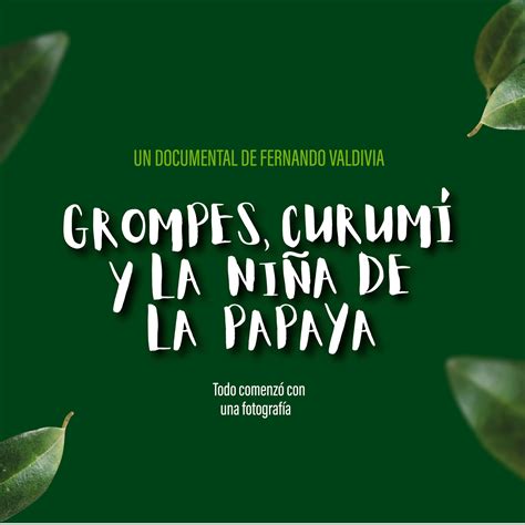 Estudios De La Papaya En La Piel Libro