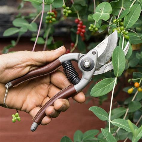 French Gardening Pruners Pruners Forged Steel Pruning Shears