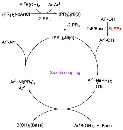 Scheme 2 A Plausible Catalytic Cycle For The Nickel Catalyzed Suzuki