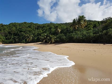 Visiter La Guadeloupe En D Cembre M T O Photos Et Mes Conseils