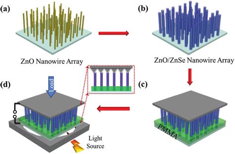 Schematic Of Photodetector Fabrication And The Measurement Process A