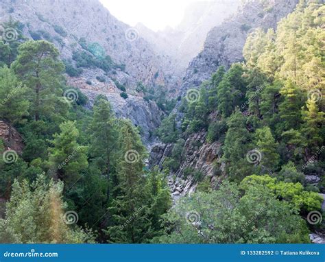 Antalya Goynuk Canyon Beautiful River In National Reserve Stock Photo