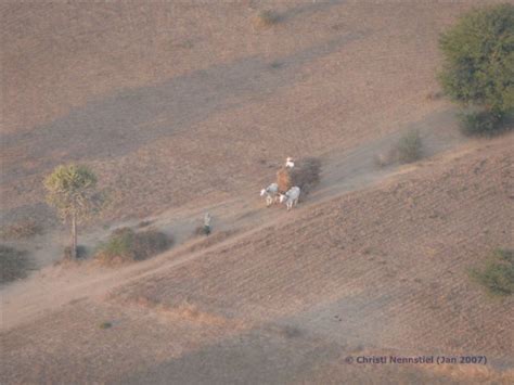 Myanmar Reise Ballonfahrt Ber Bagan