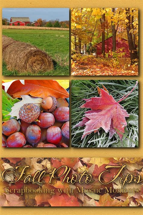 Fall Photo Tips - Mosaic Moments Page Layout System