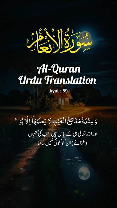 Surah Al Anam With Urdu Translationquran Surahanam Shortfeed Youtube