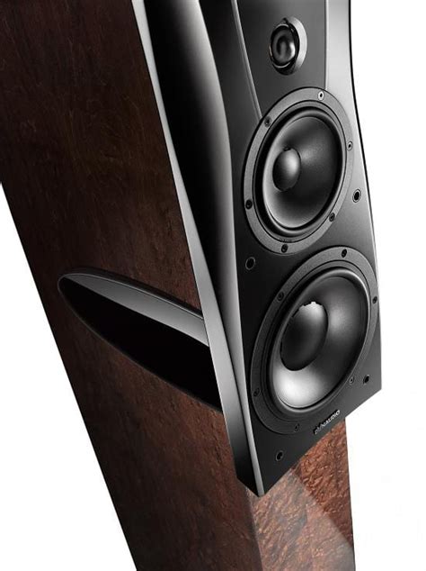 Dynaudio Confidence C Platinum Rosewood Zuilspeaker Iear