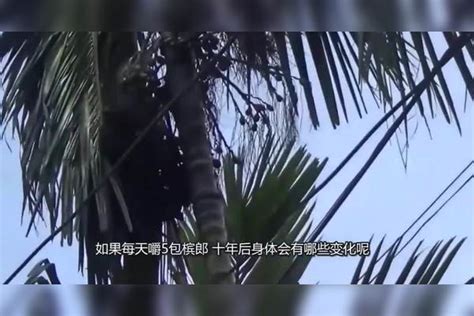 每天嚼5包槟郎十年后身体会有哪些变化网友吓得不敢张嘴 身体 变化 网友