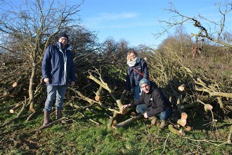 Des March S Bois Nergie Souvrent Journal Paysan Breton