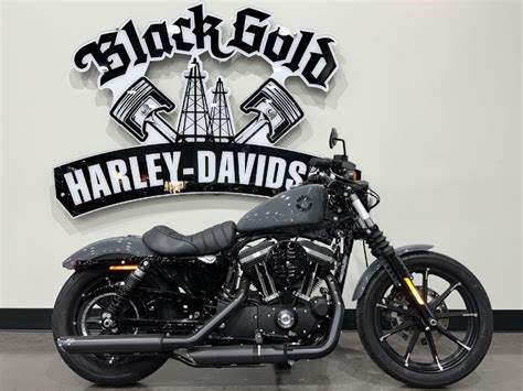 Certified Harley Davidson Iron Xl N Black Gold Hd