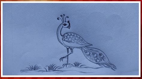 How To Draw A Peacock Step By Step সহজে ময়ূর আঁকা উপায় Peacock