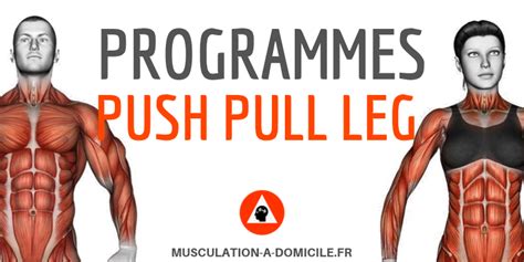 Arriba Imagen Programme Push Pull Legs Fr Thptnganamst Edu Vn