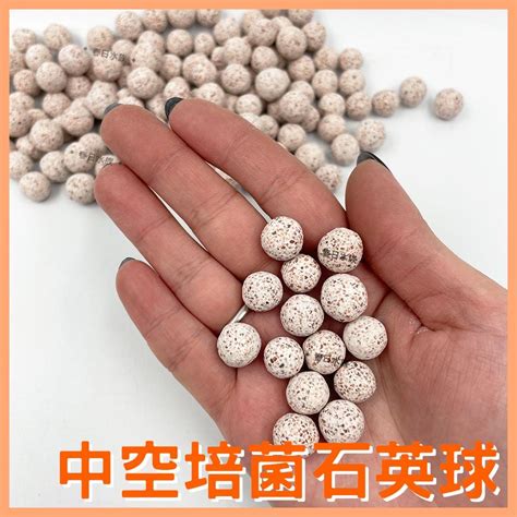 中空石英培菌球 100g 散裝 外掛濾材 過濾 培菌 多孔石英球 多孔石英球 春日水族商城