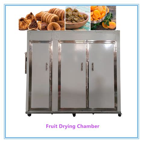 Industrial Fish Shrimp Seafood Heat Pump Drying Chamber Apricot Drying